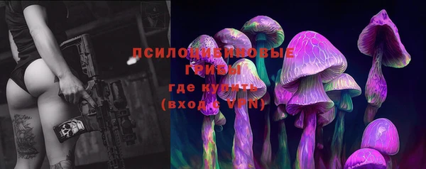 спиды Козловка