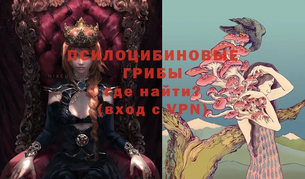 спиды Козловка