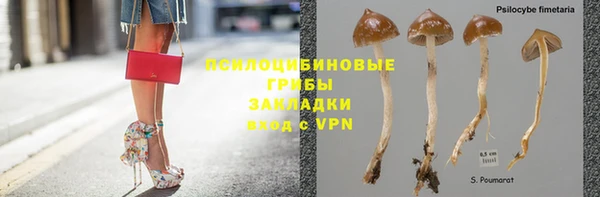 мескалин Киреевск