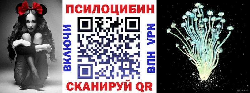 Галлюциногенные грибы Magic Shrooms  Купить  Пласт 